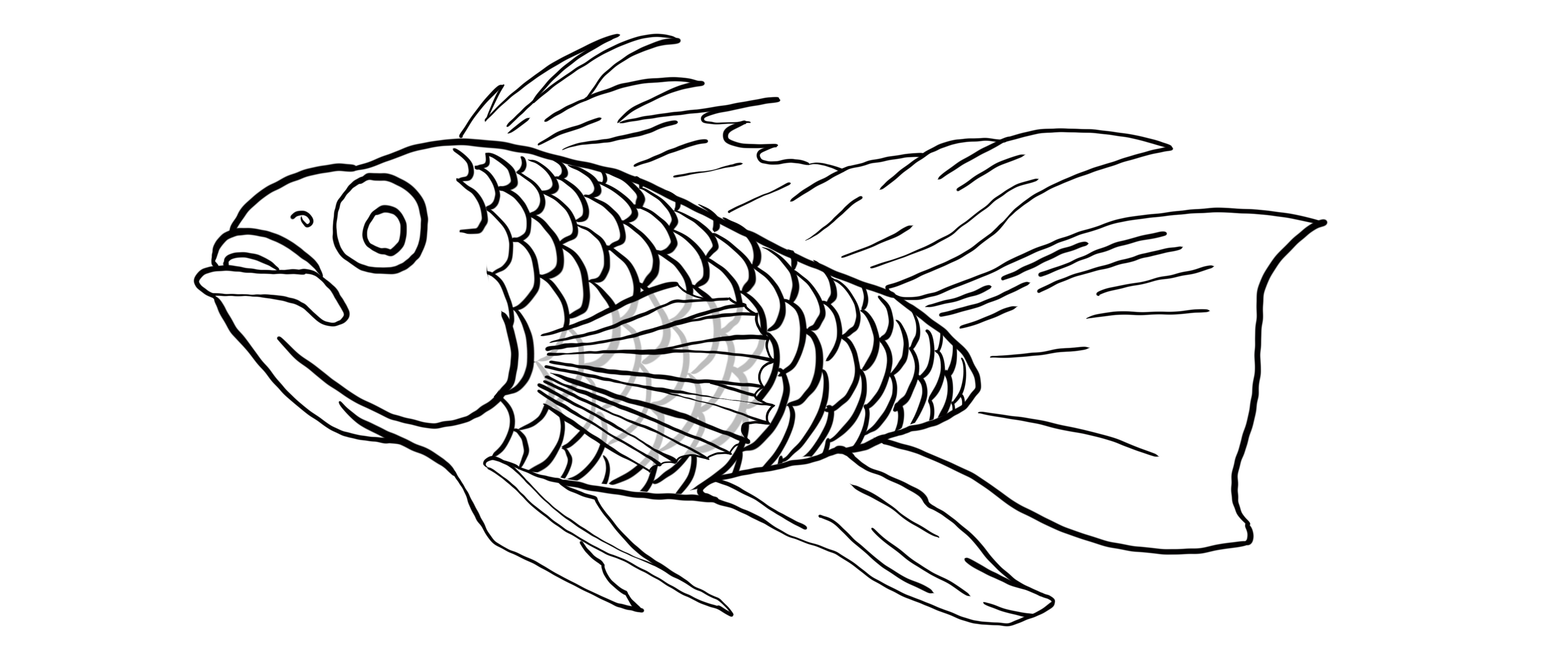 lineart of a fish from the side